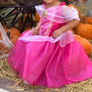 Sleeping Beauty Princess Dress